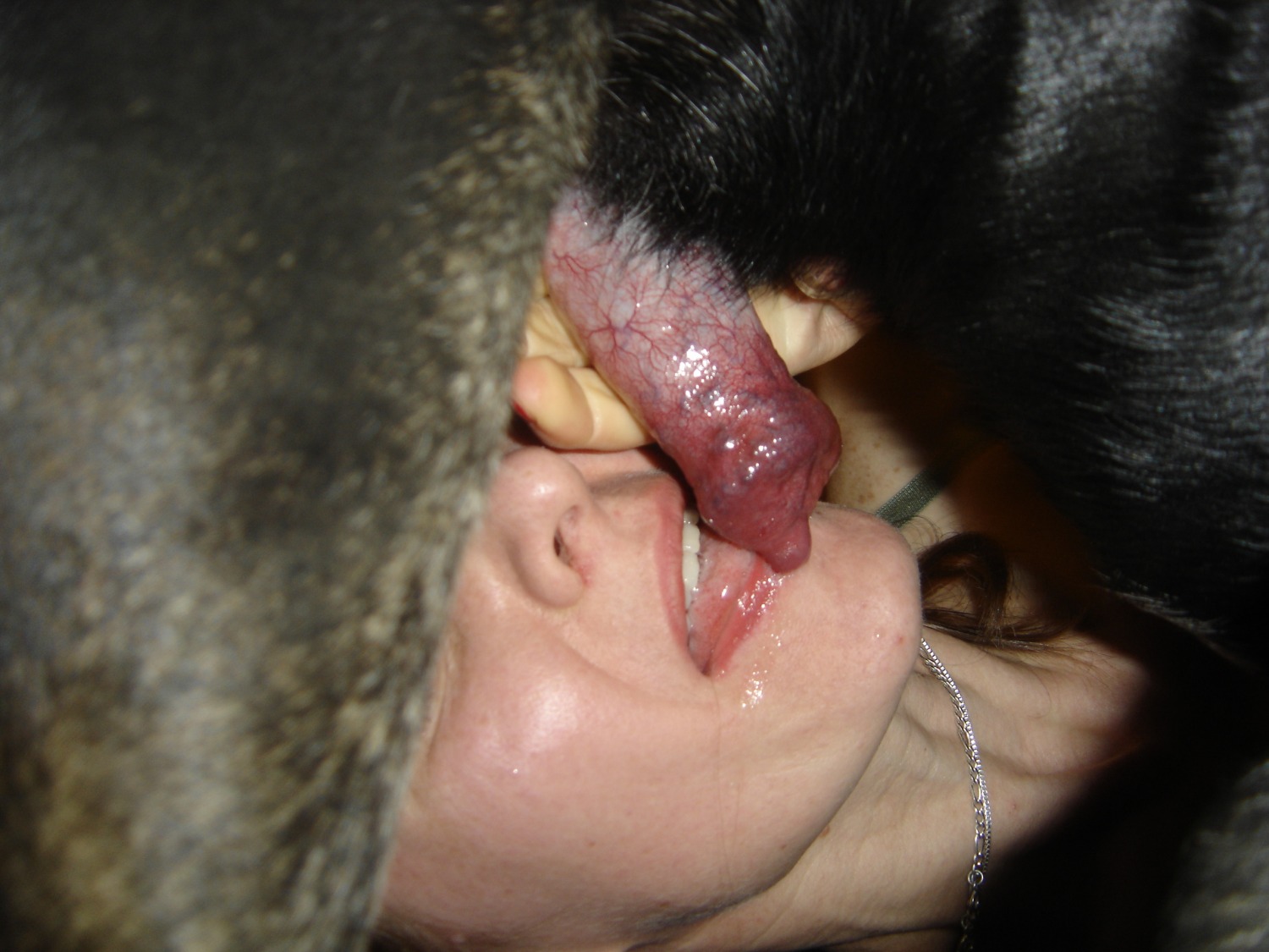 собачья сперма во влагалище фото 39